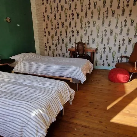 Feriehus Gastenkamers In Vakantiewoning Casacuriosa